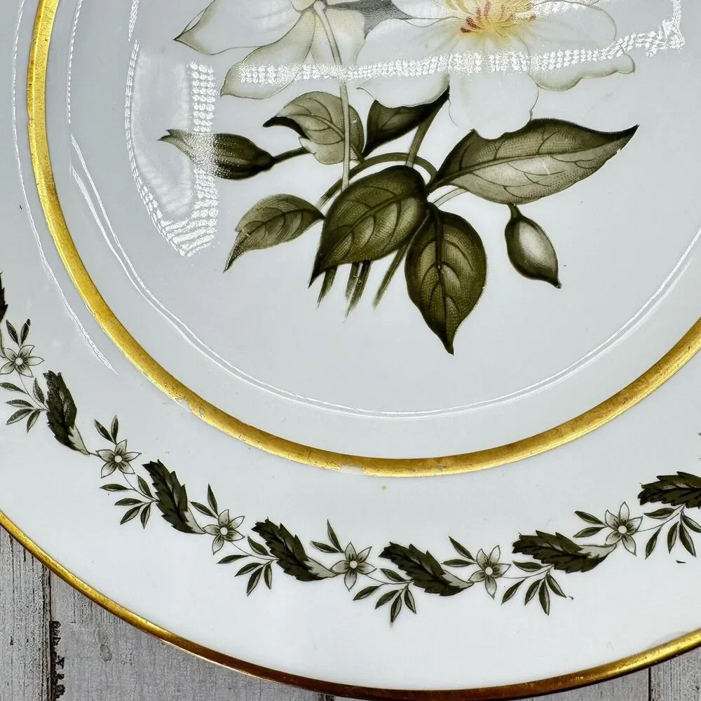 2 Vintage Royal Worcester Bernina 8” Salad Dessert Plates Made In England Flaw